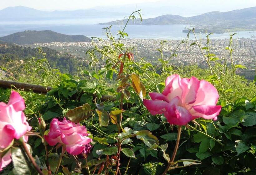 هتل Archontiko Stafylopati