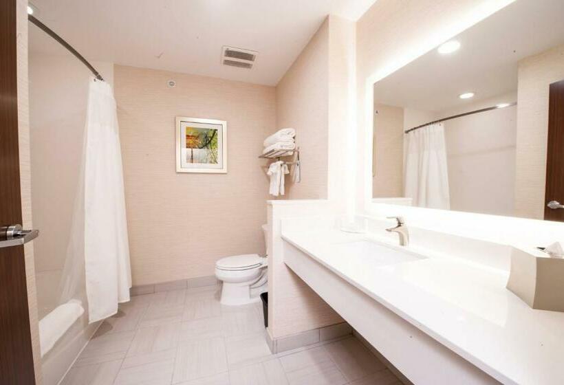 فندق Fairfield Inn & Suites By Marriott Dallas Plano North