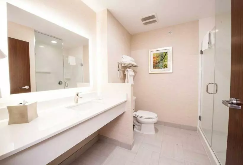 ホテル Fairfield Inn & Suites By Marriott Dallas Plano North