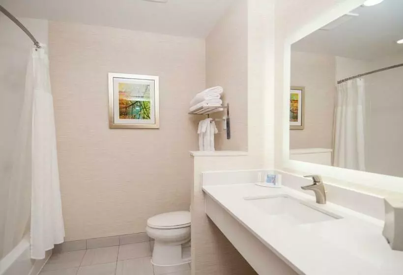ホテル Fairfield Inn & Suites By Marriott Dallas Plano North