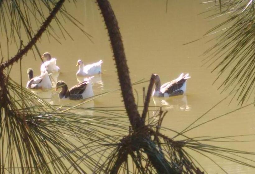 酒店 Fazenda Bandeirantes