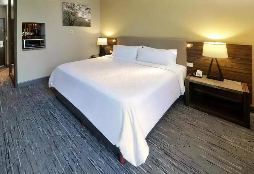 ホテル Holiday Inn Express & Suites Monterrey Valle, An Ihg