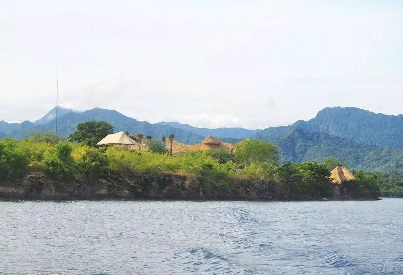 ホテル Menjangan Dynasty Resort