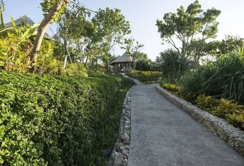 ホテル Menjangan Dynasty Resort