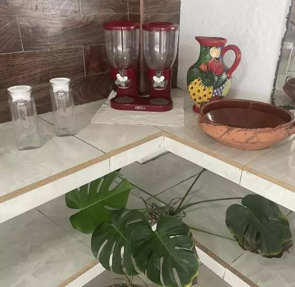Hotelli Oasis Cuyutlan