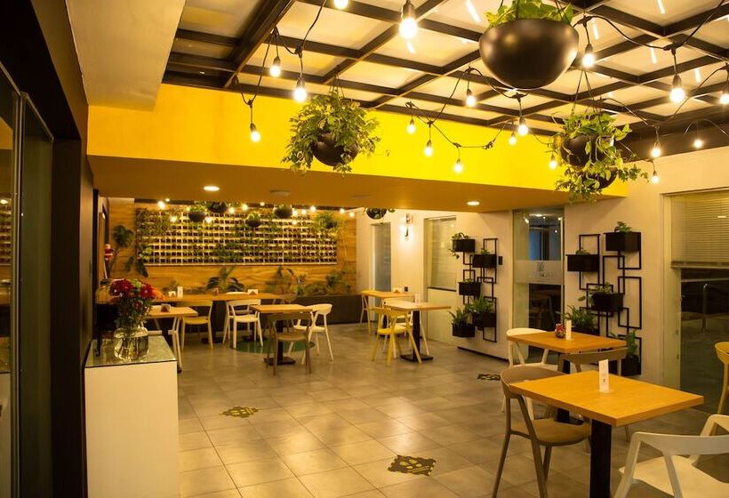 Palmetto Hotel Business San Borja