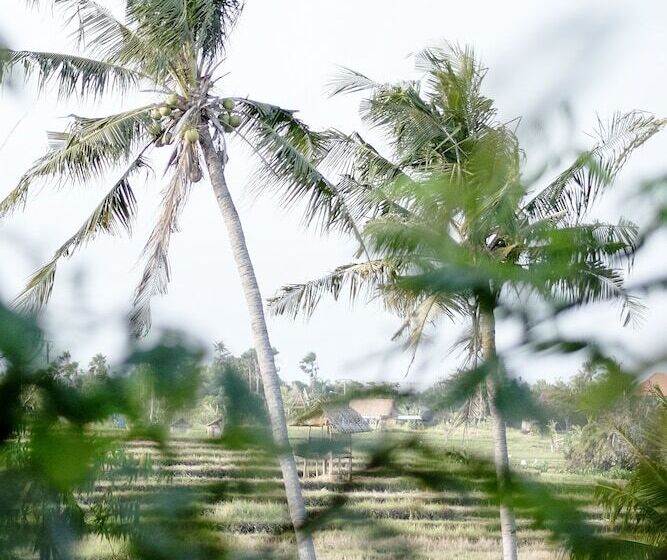 هتل Planta Boutique Resort