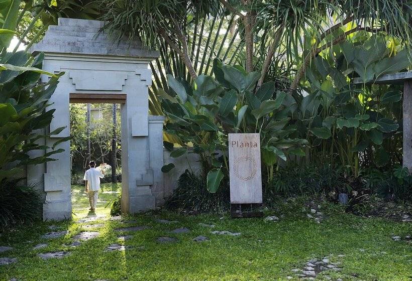 בית מלון כפרי Planta Boutique Resort