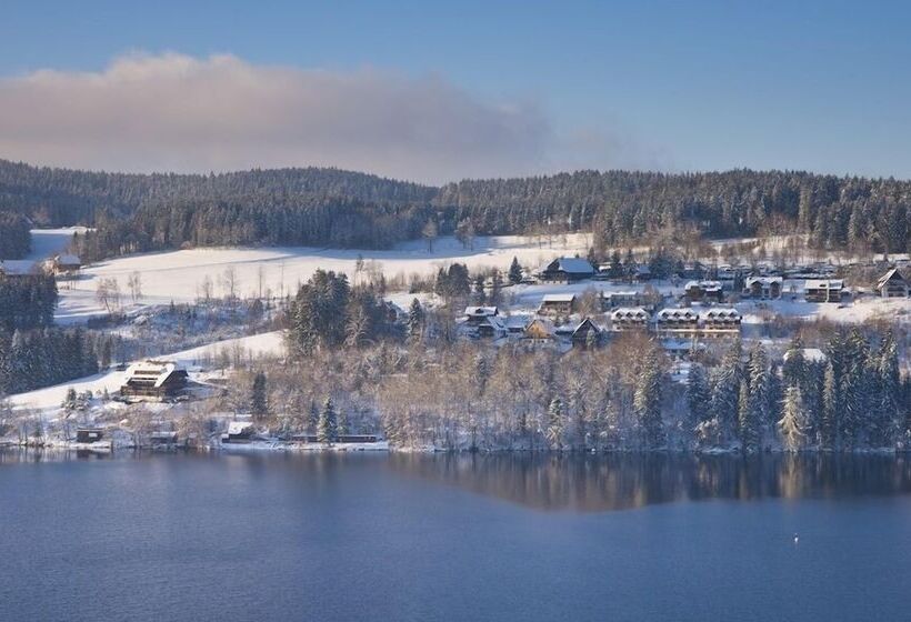 Nature Titisee