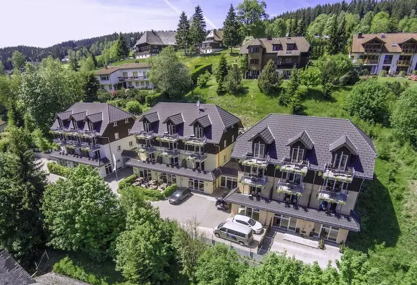 Nature Titisee