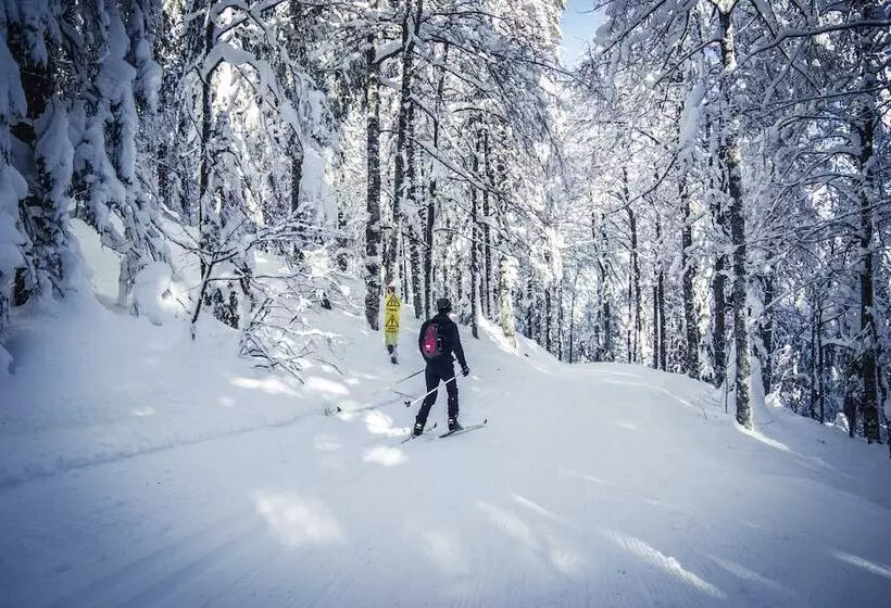 Nature Titisee