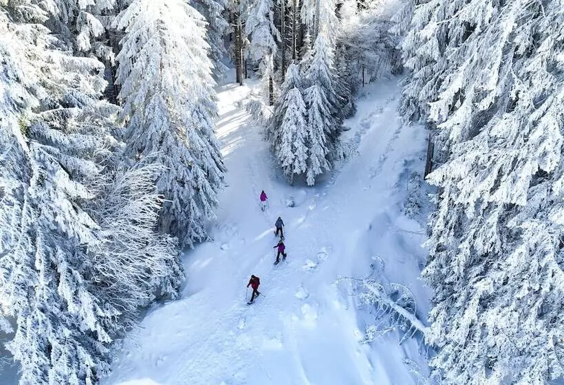 Nature Titisee