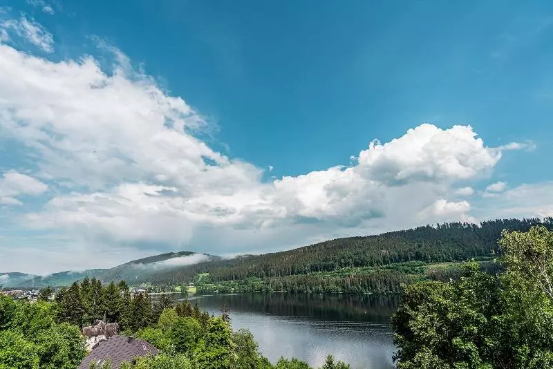 Nature Titisee