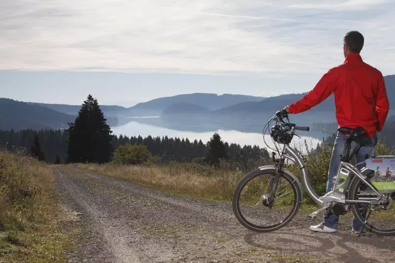 Nature Titisee