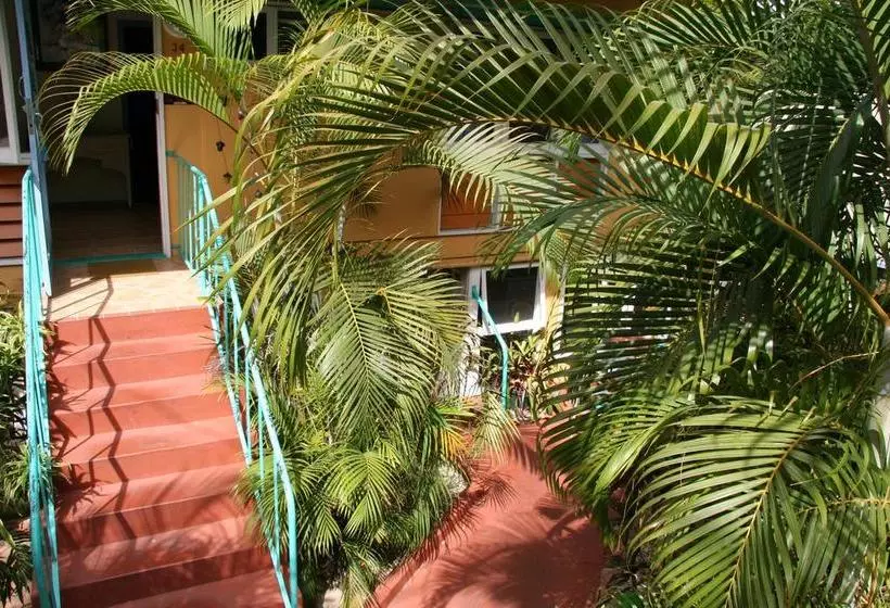 پانسیون Orchid Guest House