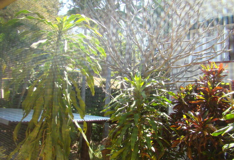 펜션 Orchid Guest House