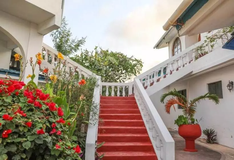 تختخواب و صبحانه Kilifi Blue House Resort