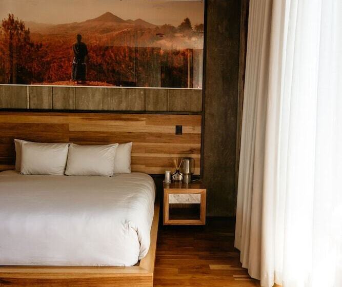 בית מלון כפרי Flavia