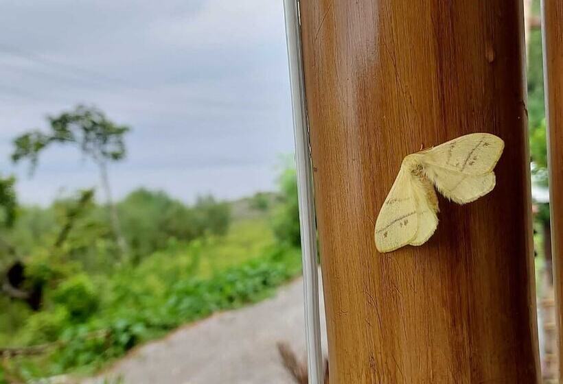 ホテル Hill Mynah Bamboo Resort