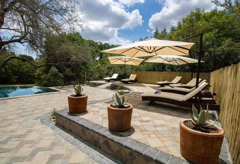 בית מלון כפרי Little Africa Safari Lodge