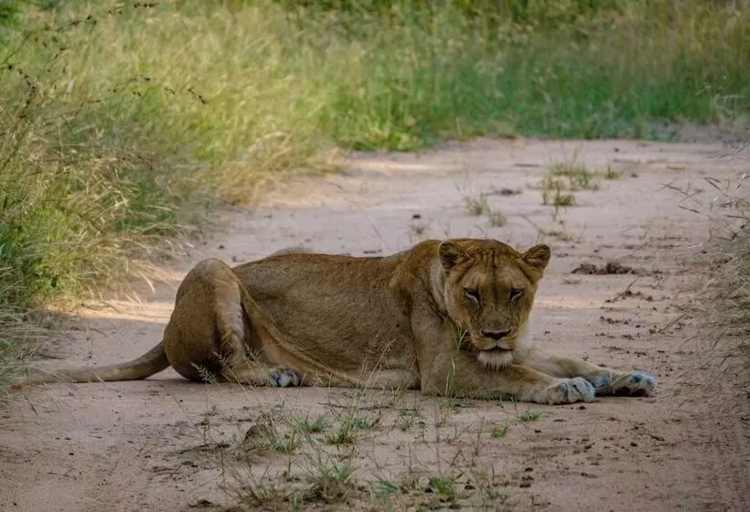 Hotelli Little Africa Safari Lodge