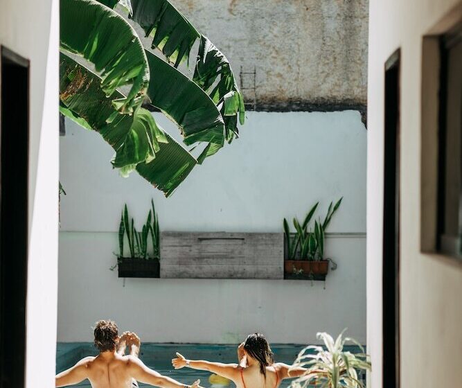 Oryx Valladolid   Hostel