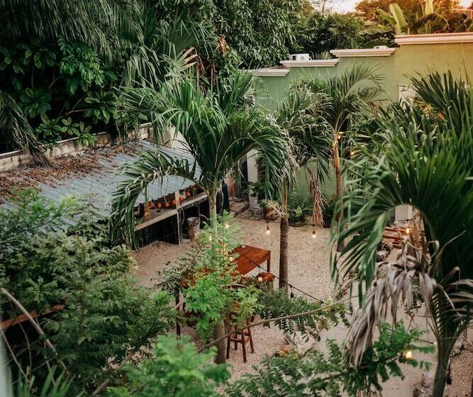 Oryx Valladolid   Hostel