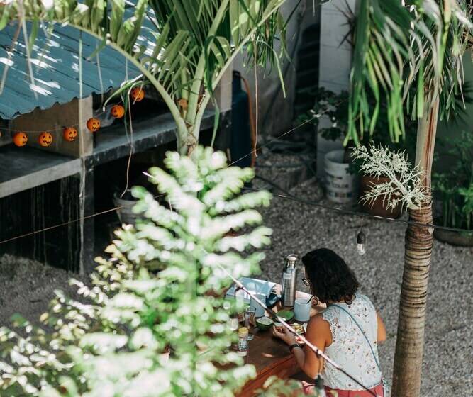 Oryx Valladolid   Hostel