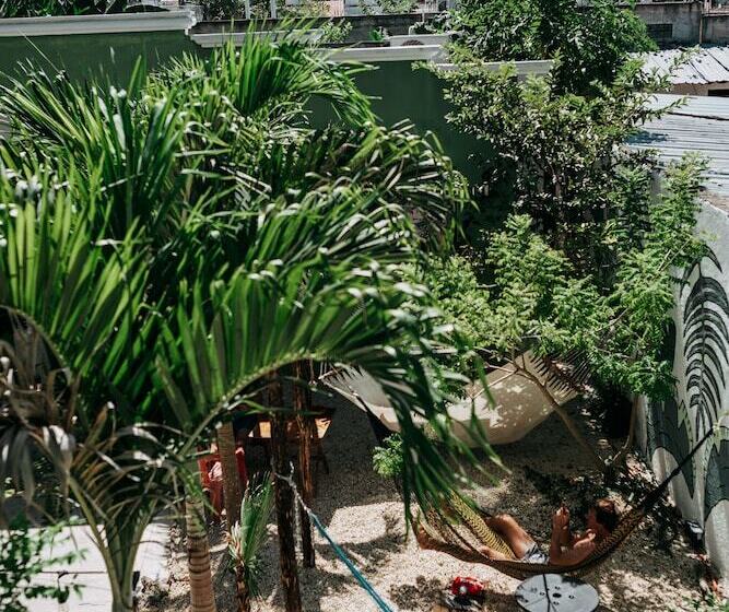 Oryx Valladolid   Hostel