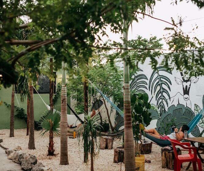 Oryx Valladolid   Hostel