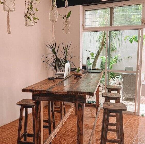 Oryx Valladolid   Hostel