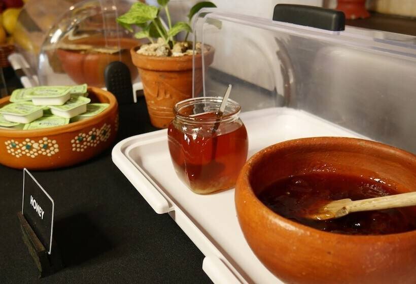 Oryx Valladolid   Hostel