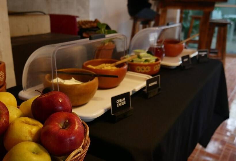 Oryx Valladolid   Hostel