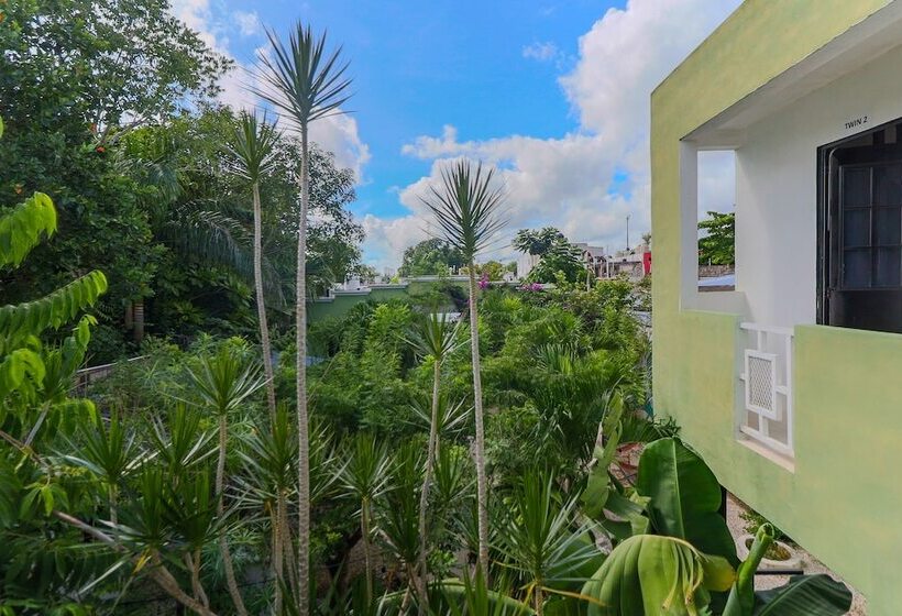 Oryx Valladolid   Hostel