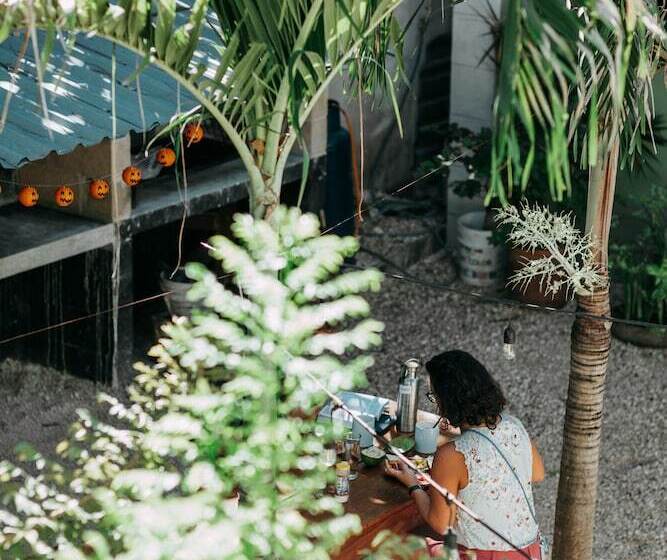 Oryx Valladolid   Hostel