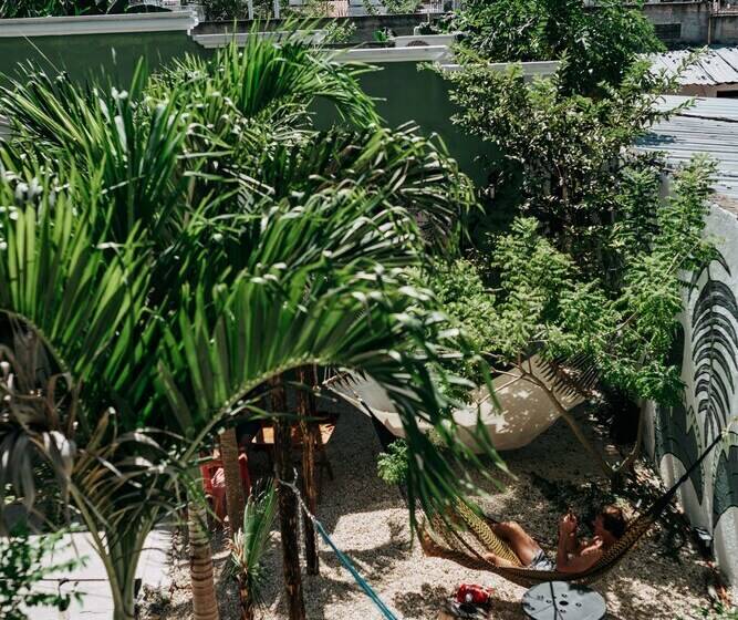 Oryx Valladolid   Hostel