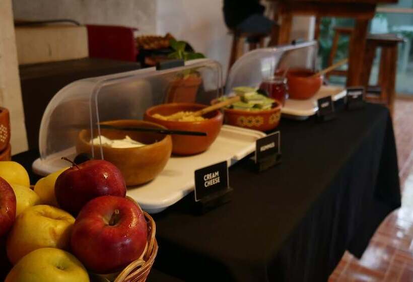 Oryx Valladolid   Hostel