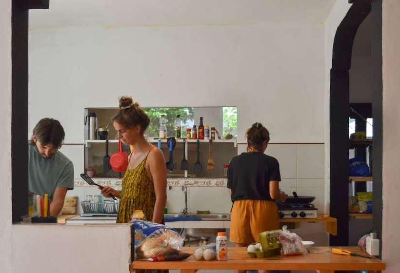 Oryx Valladolid   Hostel