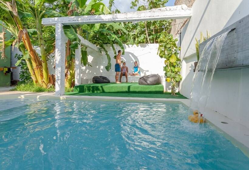 Oryx Valladolid   Hostel