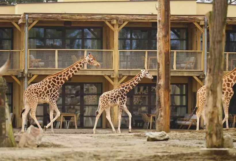 Safari Hotel Beekse Bergen