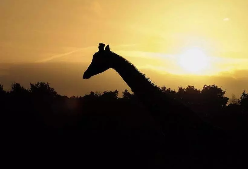 Safari Hotel Beekse Bergen