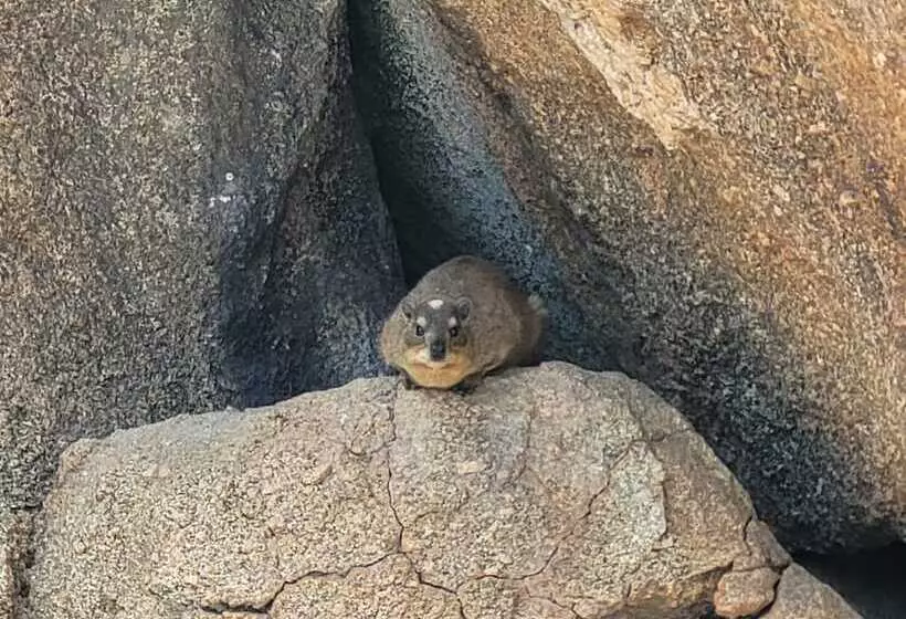 هتل Matopo Ingwe Lodge