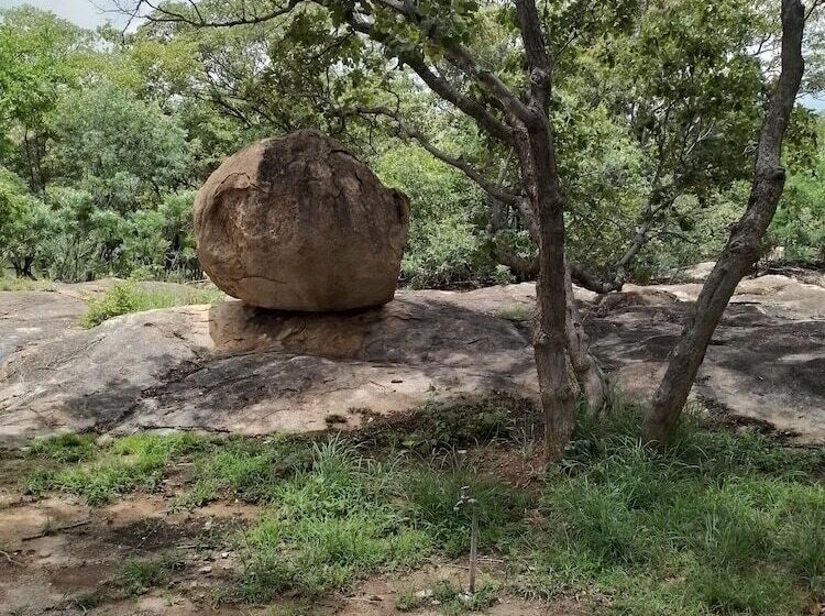 هتل Matopo Ingwe Lodge