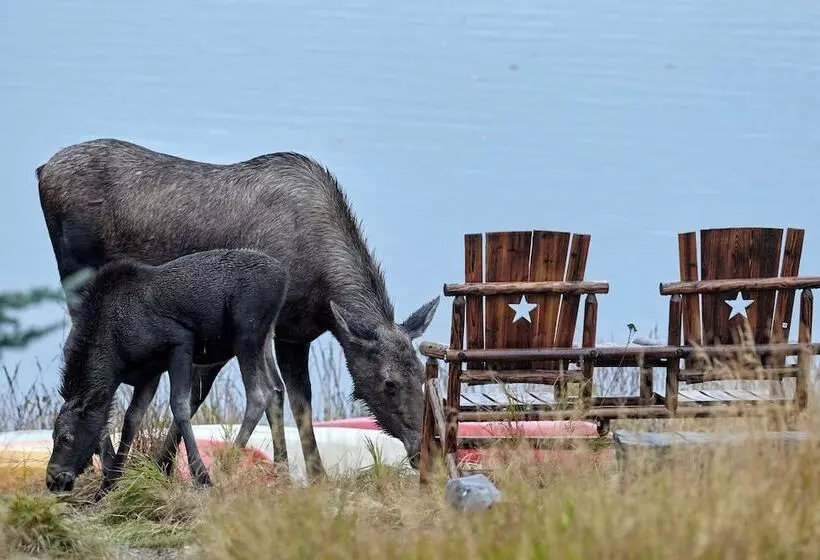 Denali Lakeview Inn