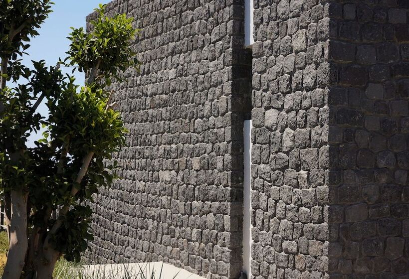 فندق Aernia Suites & Art