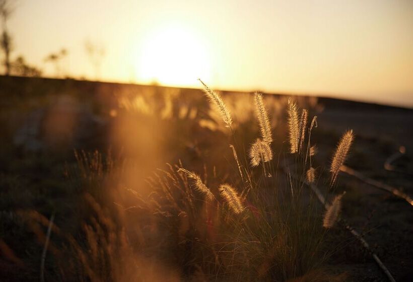 Hotel Aernia Suites & Art