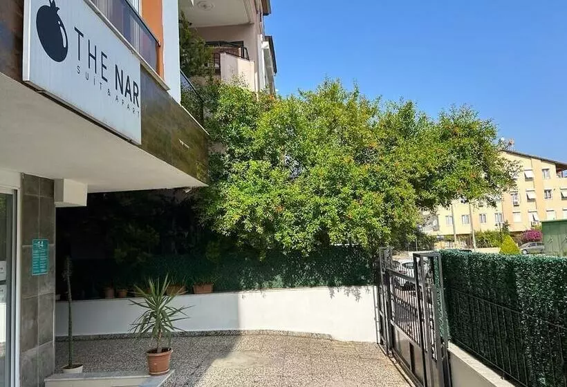 The Nar Suit & Apart