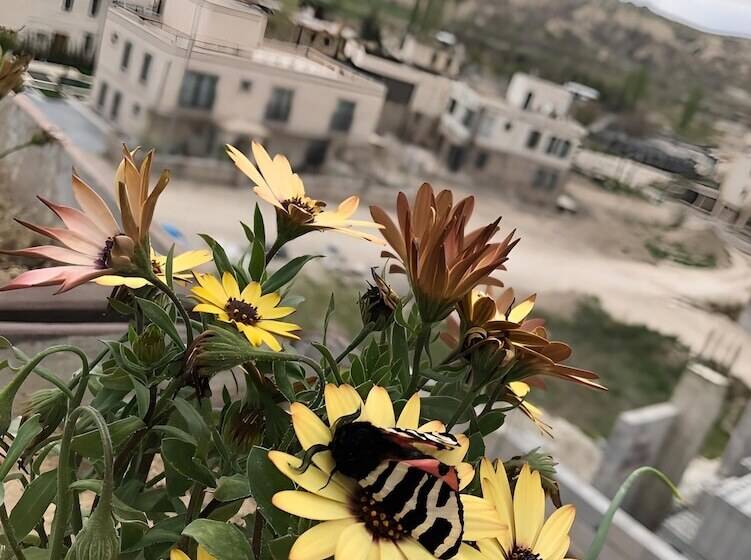 هتل Katapa Stone House