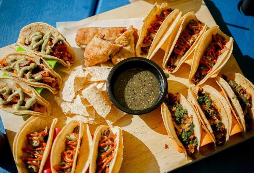 Little Mod Hotel At The University