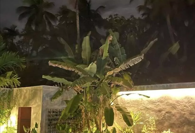 ホテル Tiger Shark Residence